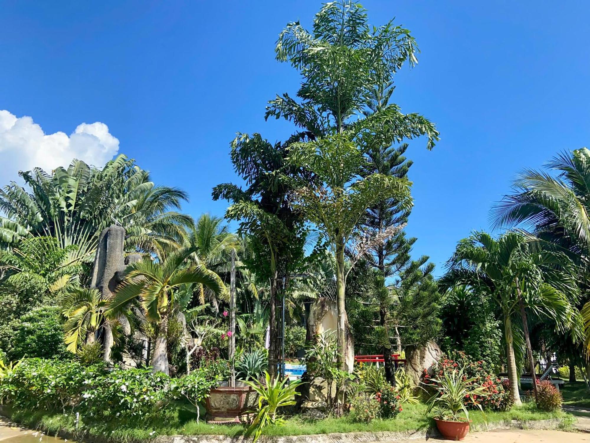 Y Nghia Bungalow Ong Lang フーコック エクステリア 写真